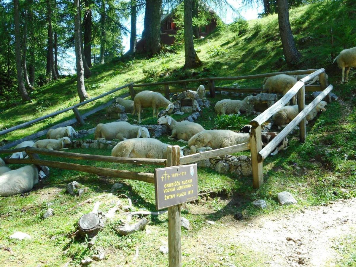 Erjavceva Mountain Hut At Vrsic Pass Hotel Кранска гора Екстериор снимка